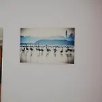 Swallows Nest *