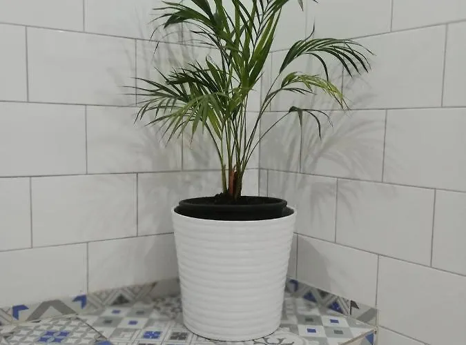 Swallows Nest * לרנקה