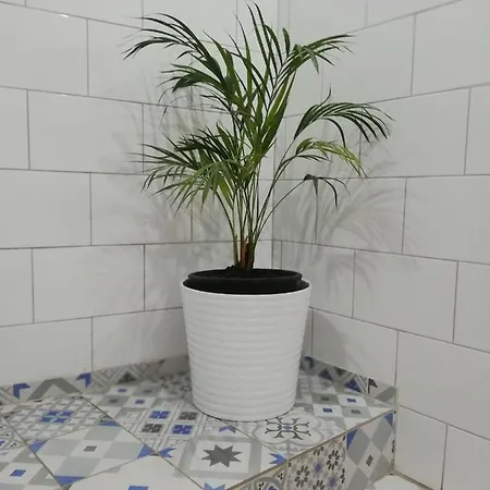 Swallows Nest * 拉纳卡